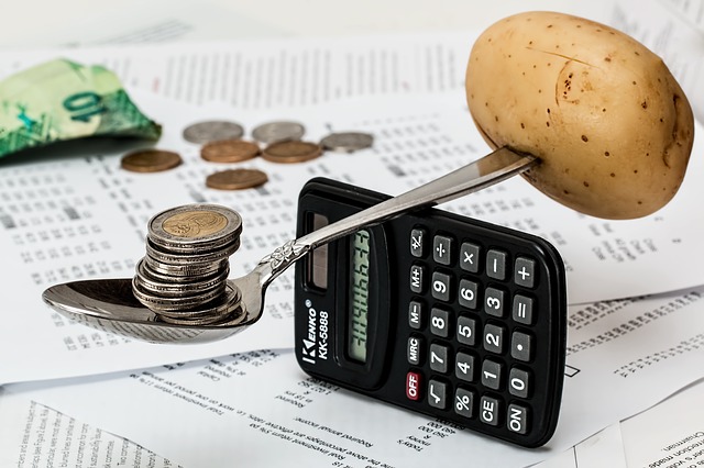 Prepper budgeting